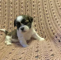 processed/0534a104-c2fb-49fc-a5d6-04959dd097cd/listing/b27893c3-4a77-4e26-a332-27b83fb20f42/65dfc5e8-2a0f-4c7b-9daa-2ba72d5bf7ac