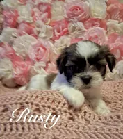 processed/0534a104-c2fb-49fc-a5d6-04959dd097cd/listing/b27893c3-4a77-4e26-a332-27b83fb20f42/6a6fee09-925d-4bce-8fac-de06369229a0