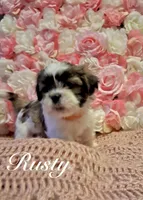 processed/0534a104-c2fb-49fc-a5d6-04959dd097cd/listing/b27893c3-4a77-4e26-a332-27b83fb20f42/bc6657a2-e413-4ce9-a7d8-88c45532b2fc