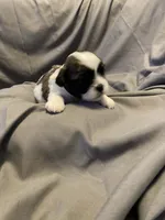 processed/0534a104-c2fb-49fc-a5d6-04959dd097cd/listing/b27893c3-4a77-4e26-a332-27b83fb20f42/c98bb579-def7-4271-b61b-778dc73c4c7b