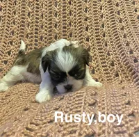 processed/0534a104-c2fb-49fc-a5d6-04959dd097cd/listing/b27893c3-4a77-4e26-a332-27b83fb20f42/d7cd5599-0bc5-41c2-85d9-f1960c4989f5