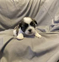 processed/0534a104-c2fb-49fc-a5d6-04959dd097cd/listing/b27893c3-4a77-4e26-a332-27b83fb20f42/e3d5fbef-063f-41f9-bbbc-aaa6aff04541