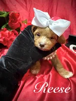 processed/0534a104-c2fb-49fc-a5d6-04959dd097cd/listing/be4ca08e-7bfc-4775-9532-65e4f3de8914/08975416-69c7-4937-bbaa-642c23bcf7a6