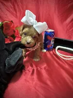 processed/0534a104-c2fb-49fc-a5d6-04959dd097cd/listing/be4ca08e-7bfc-4775-9532-65e4f3de8914/180d4420-9a61-47b8-b15d-a9f96dc818b2