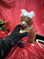 processed/0534a104-c2fb-49fc-a5d6-04959dd097cd/listing/be4ca08e-7bfc-4775-9532-65e4f3de8914/612df657-81c4-4ec2-9d51-3d476530f2d4