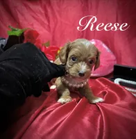 processed/0534a104-c2fb-49fc-a5d6-04959dd097cd/listing/be4ca08e-7bfc-4775-9532-65e4f3de8914/94619cd5-54f4-4f4c-8b1d-29477af01caa