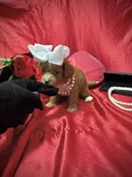 processed/0534a104-c2fb-49fc-a5d6-04959dd097cd/listing/be4ca08e-7bfc-4775-9532-65e4f3de8914/ec6cc6ac-1108-4655-b056-0c00ddd75e21