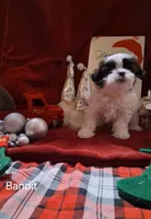 processed/0534a104-c2fb-49fc-a5d6-04959dd097cd/listing/c9d9f0d2-1b2f-4aad-884a-0b8efd55d7d1/4c277f34-2fed-4331-892b-b4fba80c657b