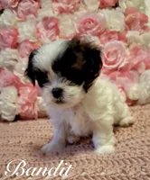 processed/0534a104-c2fb-49fc-a5d6-04959dd097cd/listing/c9d9f0d2-1b2f-4aad-884a-0b8efd55d7d1/8b64ef81-17ee-470a-b76a-9449175e5c22