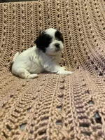 processed/0534a104-c2fb-49fc-a5d6-04959dd097cd/listing/c9d9f0d2-1b2f-4aad-884a-0b8efd55d7d1/bcd8e607-6b6d-41d9-8169-23f8baaf00d0