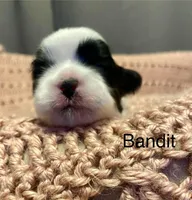 processed/0534a104-c2fb-49fc-a5d6-04959dd097cd/listing/c9d9f0d2-1b2f-4aad-884a-0b8efd55d7d1/cc07380d-be9f-4976-824f-7de110d7afcf