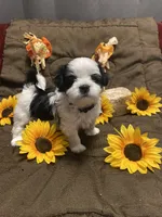 processed/0534a104-c2fb-49fc-a5d6-04959dd097cd/listing/e0f6ce9c-76d8-4485-8d34-945dd301b25a/585363a8-e39f-4d1b-8fd2-86274639ef6d