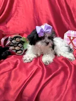 processed/0534a104-c2fb-49fc-a5d6-04959dd097cd/listing/e0f6ce9c-76d8-4485-8d34-945dd301b25a/5f6fde90-c776-42f7-bc03-e695398ab017