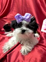 processed/0534a104-c2fb-49fc-a5d6-04959dd097cd/listing/e0f6ce9c-76d8-4485-8d34-945dd301b25a/6ca09198-7ea0-426f-82a8-ea3d54bd2920