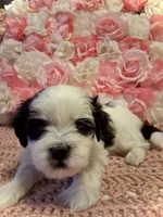 processed/0534a104-c2fb-49fc-a5d6-04959dd097cd/listing/e0f6ce9c-76d8-4485-8d34-945dd301b25a/c5f345ae-0267-40d3-bf72-918faf61acff