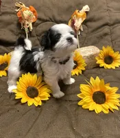 processed/0534a104-c2fb-49fc-a5d6-04959dd097cd/listing/e0f6ce9c-76d8-4485-8d34-945dd301b25a/f8170490-83a2-4417-a265-4ed72a8914c6