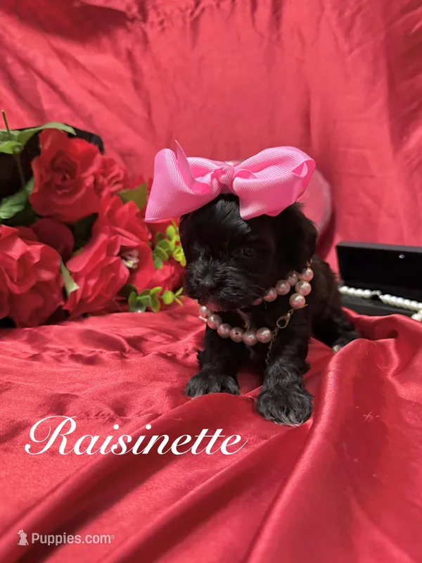 Raisinette