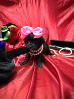 processed/0534a104-c2fb-49fc-a5d6-04959dd097cd/listing/f00b42f1-d0e3-466f-80a0-ffdb2d19899e/1845b638-fc5b-4c9a-a7ce-9638db7ed3f1