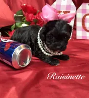 processed/0534a104-c2fb-49fc-a5d6-04959dd097cd/listing/f00b42f1-d0e3-466f-80a0-ffdb2d19899e/3372a12e-0529-47f4-85ad-7c80a3125eab