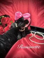 processed/0534a104-c2fb-49fc-a5d6-04959dd097cd/listing/f00b42f1-d0e3-466f-80a0-ffdb2d19899e/8e3c013a-e10e-4335-a2ce-1c3066252800