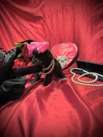 processed/0534a104-c2fb-49fc-a5d6-04959dd097cd/listing/f00b42f1-d0e3-466f-80a0-ffdb2d19899e/bcc2db47-ba4a-4db0-93b4-0f3d91957473