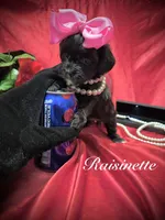 processed/0534a104-c2fb-49fc-a5d6-04959dd097cd/listing/f00b42f1-d0e3-466f-80a0-ffdb2d19899e/e675da29-1d8f-4fff-921b-52f611aeea5b