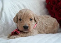 processed/053eaaa1-66aa-45ba-b13f-28c354674686/listing/20dad056-3914-4bd0-abbb-c443af81333a/43053235-f7cf-4a98-b458-6328fa007b7a