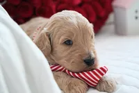 processed/053eaaa1-66aa-45ba-b13f-28c354674686/listing/20dad056-3914-4bd0-abbb-c443af81333a/e7263edc-5521-480f-a67d-582ee902cfe0