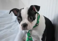 processed/053eaaa1-66aa-45ba-b13f-28c354674686/listing/6d242ce4-d339-4b1a-a310-fe30ace3dfff/223ea015-c77d-4175-8289-c89ca8705f40