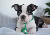 processed/053eaaa1-66aa-45ba-b13f-28c354674686/listing/6d242ce4-d339-4b1a-a310-fe30ace3dfff/91d6eeb6-208e-4ce0-9612-72056ce16567