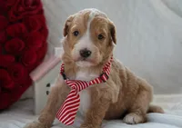 processed/053eaaa1-66aa-45ba-b13f-28c354674686/listing/9d8d1353-26df-4ca4-b884-b6a771604ec9/280c8414-25d2-431f-a89e-69ef32085004