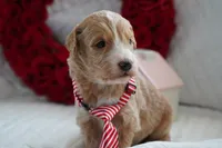 processed/053eaaa1-66aa-45ba-b13f-28c354674686/listing/9d8d1353-26df-4ca4-b884-b6a771604ec9/ab00b7c5-f734-4f42-bd3b-1c3bc36838d9