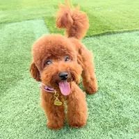 processed/05440233-5c4a-4451-b3a2-05e6bda33cd6/facility/a7b3e3cb-0382-4f33-868d-f0a2a24f7936