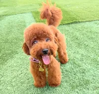 processed/05440233-5c4a-4451-b3a2-05e6bda33cd6/facility/a7b3e3cb-0382-4f33-868d-f0a2a24f7936