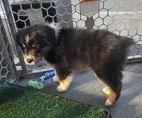 processed/0544dafd-9568-4778-bcf1-d171cf9661ce/listing/14ccb0e5-8989-49f0-8b65-0272101160b3/1324d99e-acfd-4051-9ee6-e8b4f489b8d0