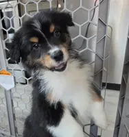 processed/0544dafd-9568-4778-bcf1-d171cf9661ce/listing/14ccb0e5-8989-49f0-8b65-0272101160b3/3a690d77-c07b-49eb-ab67-00453238fe93