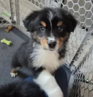 processed/0544dafd-9568-4778-bcf1-d171cf9661ce/listing/14ccb0e5-8989-49f0-8b65-0272101160b3/59a93487-834c-4d44-a180-dd8ad54753b7