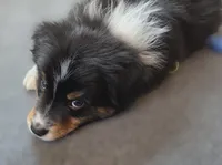 processed/0544dafd-9568-4778-bcf1-d171cf9661ce/listing/14ccb0e5-8989-49f0-8b65-0272101160b3/683edcdd-56fd-496a-8c18-eeeb6902241d