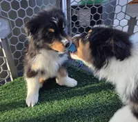 processed/0544dafd-9568-4778-bcf1-d171cf9661ce/listing/14ccb0e5-8989-49f0-8b65-0272101160b3/fc1364db-ed13-4e5c-b10d-ca82f005f9ea