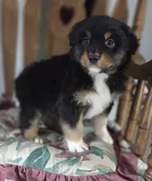 processed/0544dafd-9568-4778-bcf1-d171cf9661ce/listing/4adca119-45e3-4583-9a81-e52815a72424/22a48ea3-a9dc-40a1-8535-541869d40b12