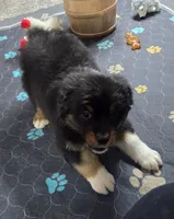 processed/0544dafd-9568-4778-bcf1-d171cf9661ce/listing/4adca119-45e3-4583-9a81-e52815a72424/557cc59d-adcb-480a-af5a-cdbbe09f0c74