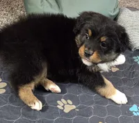 processed/0544dafd-9568-4778-bcf1-d171cf9661ce/listing/4adca119-45e3-4583-9a81-e52815a72424/5777075f-c464-45ca-a308-8504b9c9957d