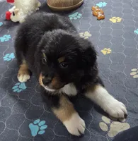 processed/0544dafd-9568-4778-bcf1-d171cf9661ce/listing/4adca119-45e3-4583-9a81-e52815a72424/d11e3ec8-96a3-4978-849a-290fe7f29bd5