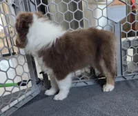 processed/0544dafd-9568-4778-bcf1-d171cf9661ce/listing/a0756db6-c063-47f7-b475-c10df7889586/38c583e1-426b-4948-8af4-41743ca5f88c