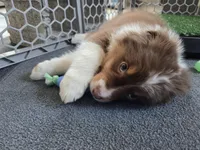 processed/0544dafd-9568-4778-bcf1-d171cf9661ce/listing/a0756db6-c063-47f7-b475-c10df7889586/48c46fe7-69cf-4975-956b-13ebd64299cf