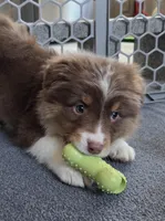 processed/0544dafd-9568-4778-bcf1-d171cf9661ce/listing/a0756db6-c063-47f7-b475-c10df7889586/6008179a-2203-4d6b-8648-a67ce6f35247