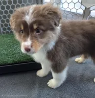 processed/0544dafd-9568-4778-bcf1-d171cf9661ce/listing/a0756db6-c063-47f7-b475-c10df7889586/c3c10973-07a7-4287-9f90-6e5833219511