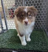 processed/0544dafd-9568-4778-bcf1-d171cf9661ce/listing/a0756db6-c063-47f7-b475-c10df7889586/dd910218-ef57-4a0a-89fc-9acd815db8f2