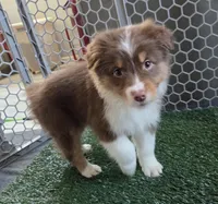 processed/0544dafd-9568-4778-bcf1-d171cf9661ce/listing/a0756db6-c063-47f7-b475-c10df7889586/ed939e72-68f3-4c02-846b-092d48f53b6a