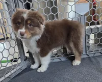 processed/0544dafd-9568-4778-bcf1-d171cf9661ce/listing/a0756db6-c063-47f7-b475-c10df7889586/f39365a8-ca48-407a-8537-9cc5b337c56a